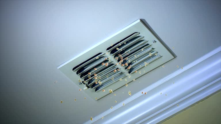 Best HVAC Air Duct Cleaning  in Sea Bright, NJ